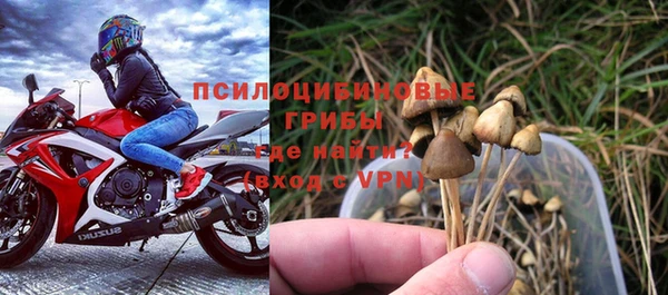 амф Аркадак
