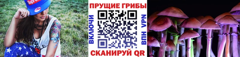 Галлюциногенные грибы Magic Shrooms  OMG как зайти  Саянск  закладка 